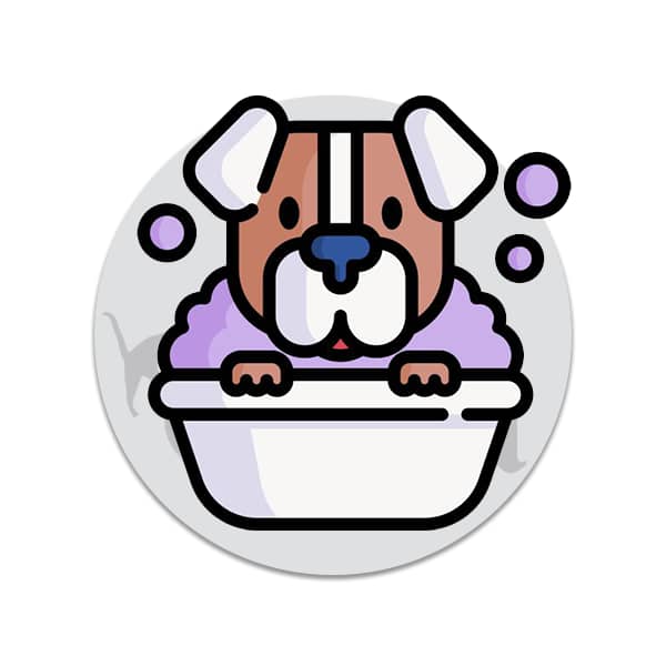 أدوات العناية للكلاب