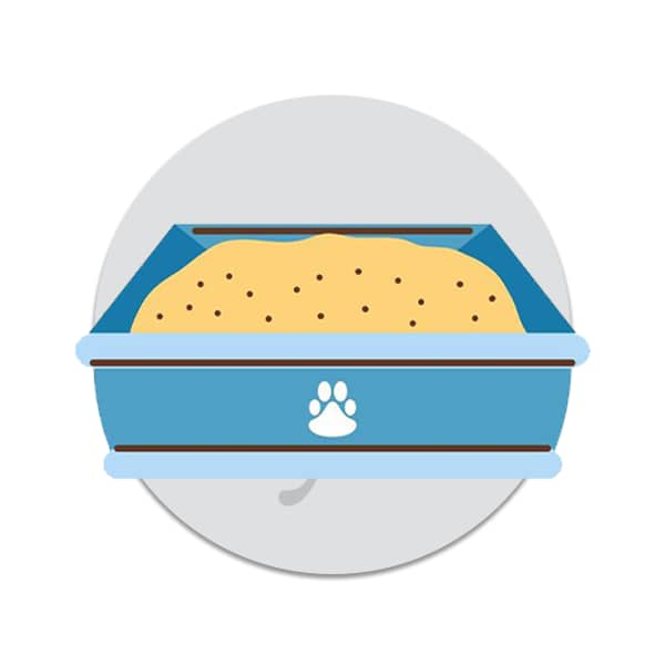 لتر بوكس رمل ومستلزماتهم